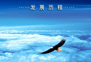 發展歷程